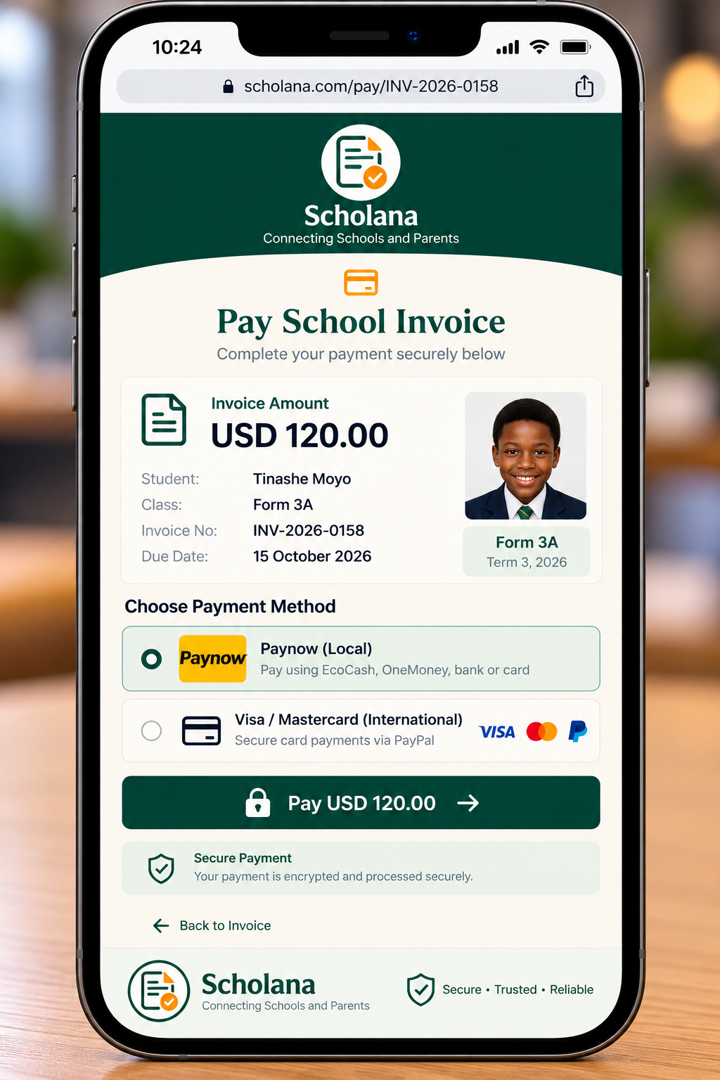 Scholana secure invoice payment page with Paynow and card options