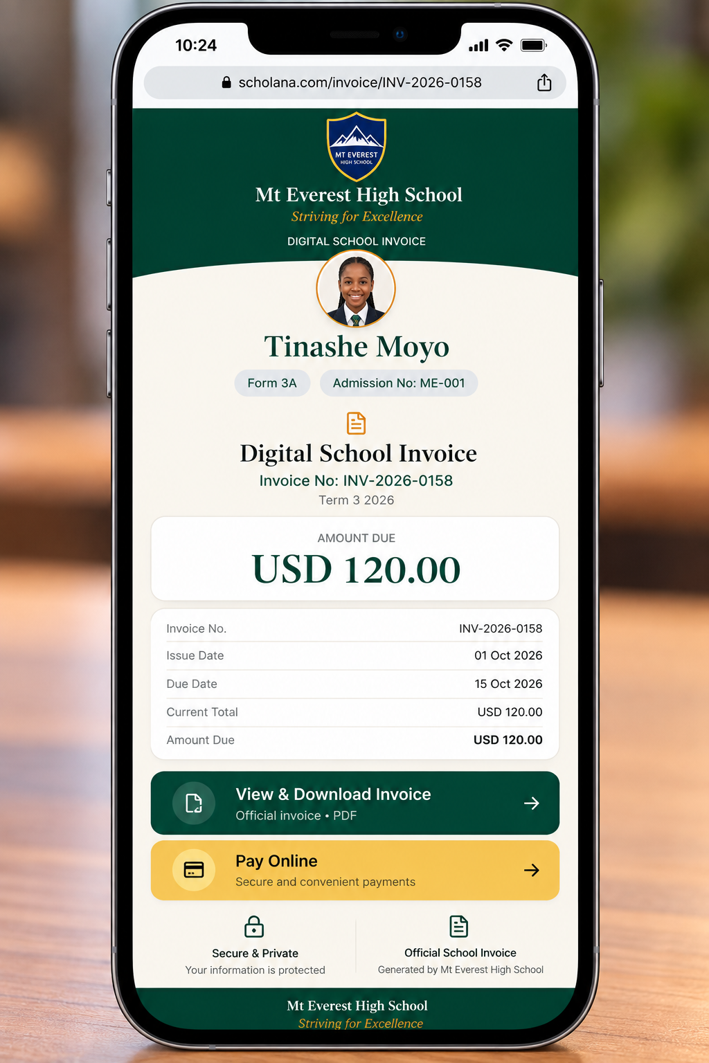 Mt Everest High School Digital School Invoice landing page for Tinashe Moyo